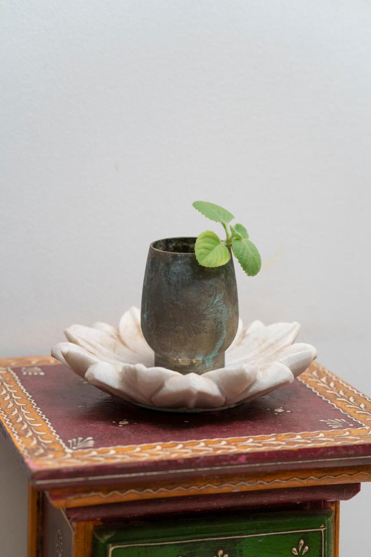 Santosh Villa - The House Of Antiques And Art Udaipur Luaran gambar